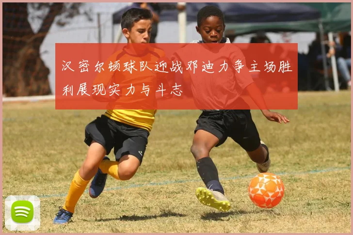 汉密尔顿球队迎战邓迪力争主场胜利展现实力与斗志