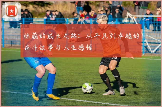 林葳的成长之路：从平凡到卓越的奋斗故事与人生感悟