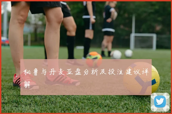 秘鲁与丹麦亚盘分析及投注建议详解