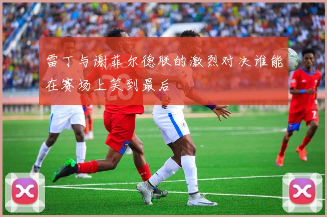 雷丁与谢菲尔德联的激烈对决谁能在赛场上笑到最后